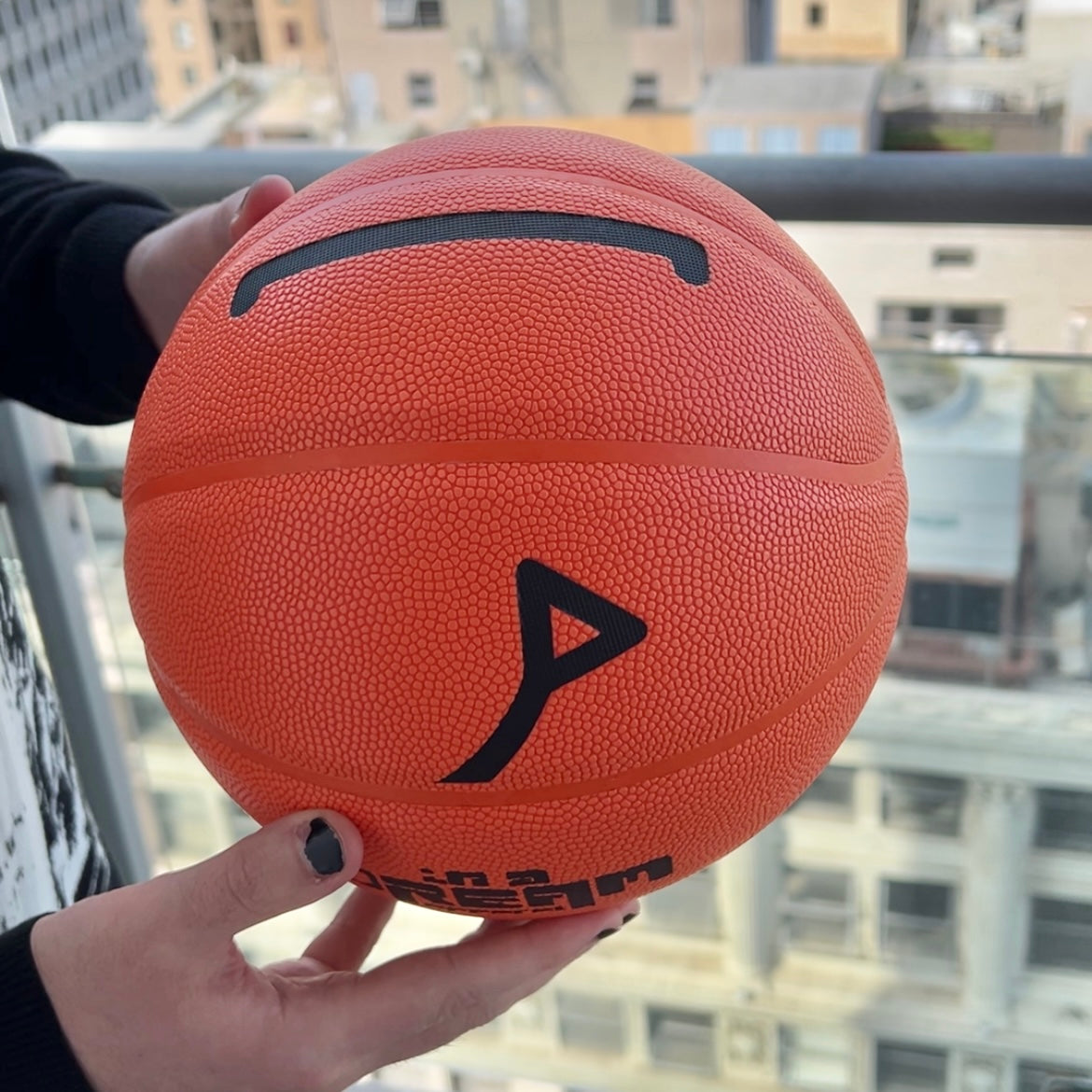 Pochi Basketball (B-GRADE) - Please read description