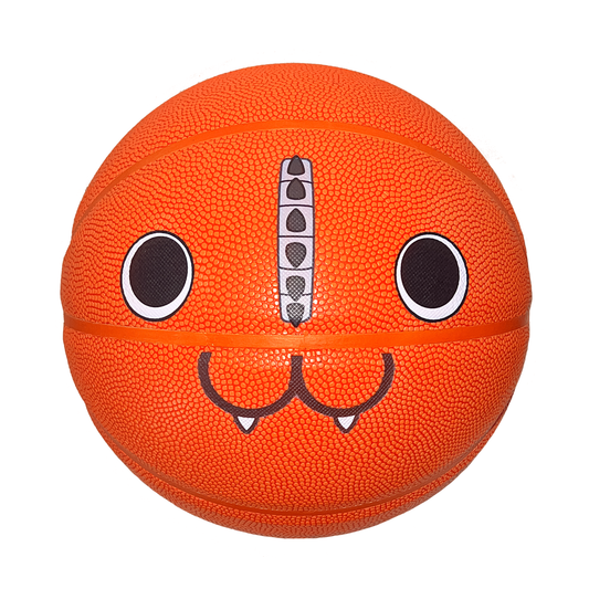 Pochi Basketball (B-GRADE) - Please read description